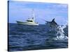 Marlin with Fishing Boat in Background-null-Stretched Canvas