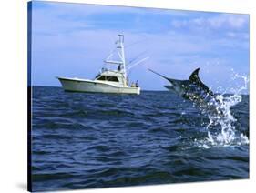 Marlin with Fishing Boat in Background-null-Stretched Canvas