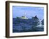 Marlin with Fishing Boat in Background-null-Framed Premium Photographic Print