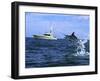 Marlin with Fishing Boat in Background-null-Framed Premium Photographic Print