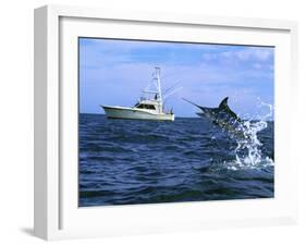 Marlin with Fishing Boat in Background-null-Framed Premium Photographic Print