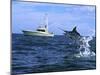 Marlin with Fishing Boat in Background-null-Mounted Premium Photographic Print