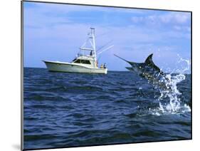 Marlin with Fishing Boat in Background-null-Mounted Premium Photographic Print