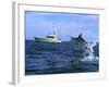 Marlin with Fishing Boat in Background-null-Framed Photographic Print