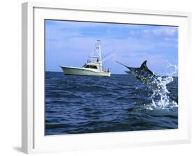 Marlin with Fishing Boat in Background-null-Framed Photographic Print