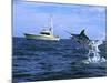Marlin with Fishing Boat in Background-null-Mounted Photographic Print