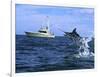 Marlin with Fishing Boat in Background-null-Framed Photographic Print