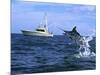 Marlin with Fishing Boat in Background-null-Mounted Photographic Print