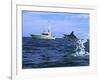 Marlin with Fishing Boat in Background-null-Framed Photographic Print