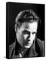 Marlon Brando, 1954-null-Framed Stretched Canvas