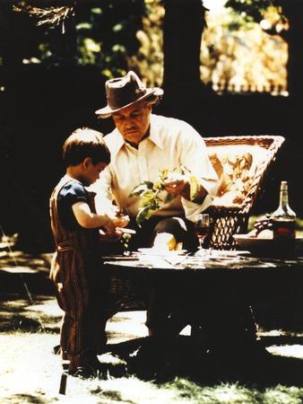 https://imgc.allpostersimages.com/img/posters/marlon-brando-with-grandson-movie-still-from-the-godfather_u-L-Q116Y0V0.jpg?artPerspective=n