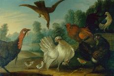 Ducks, Poultry and Doves by a Wall on a River Bank-Marmaduke Cradock-Giclee Print