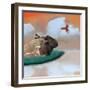 Marmalade Sky-Nancy Tillman-Framed Art Print