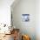 Marmo Blu - Focus-Mark Chandon-Giclee Print displayed on a wall