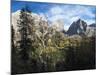 Marmolada from Val Contrin in the Fassa Valley, left Gran Vernel, right Ombreta.-Martin Zwick-Mounted Photographic Print