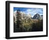 Marmolada from Val Contrin in the Fassa Valley, left Gran Vernel, right Ombreta.-Martin Zwick-Framed Photographic Print