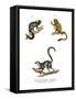 Marmoset, 1860-null-Framed Stretched Canvas