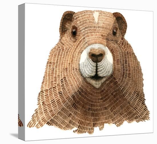 Marmot-Jeannine Saylor-Stretched Canvas