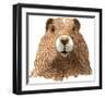 Marmot-Jeannine Saylor-Framed Art Print