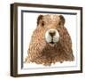 Marmot-Jeannine Saylor-Framed Art Print