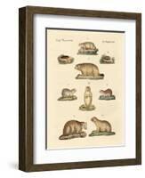 Marmots and Moles-null-Framed Giclee Print