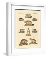 Marmots and Moles-null-Framed Giclee Print