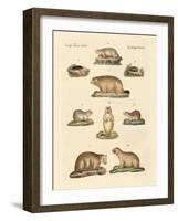 Marmots and Moles-null-Framed Giclee Print