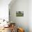 Marne, C1888-Paul Cezanne-Giclee Print displayed on a wall