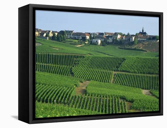 Marne, Champagne, Cramant Village and Vineyards, France-Steve Vidler-Framed Stretched Canvas