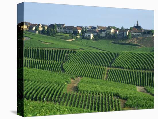 Marne, Champagne, Cramant Village and Vineyards, France-Steve Vidler-Stretched Canvas