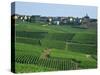 Marne, Champagne, Cramant Village and Vineyards, France-Steve Vidler-Stretched Canvas