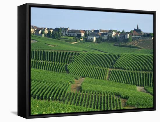 Marne, Champagne, Cramant Village and Vineyards, France-Steve Vidler-Framed Stretched Canvas