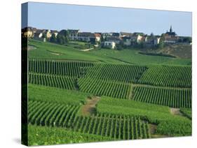 Marne, Champagne, Cramant Village and Vineyards, France-Steve Vidler-Stretched Canvas