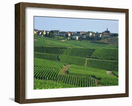 Marne, Champagne, Cramant Village and Vineyards, France-Steve Vidler-Framed Photographic Print