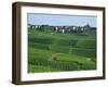 Marne, Champagne, Cramant Village and Vineyards, France-Steve Vidler-Framed Photographic Print