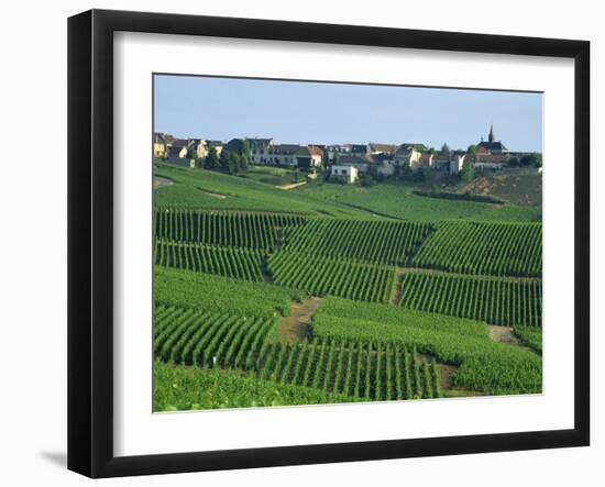 Marne, Champagne, Cramant Village and Vineyards, France-Steve Vidler-Framed Photographic Print