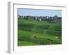 Marne, Champagne, Cramant Village and Vineyards, France-Steve Vidler-Framed Photographic Print