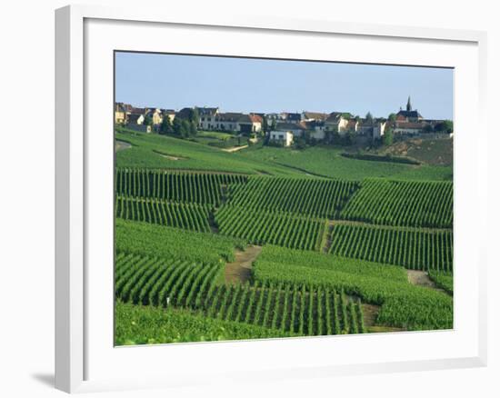 Marne, Champagne, Cramant Village and Vineyards, France-Steve Vidler-Framed Photographic Print
