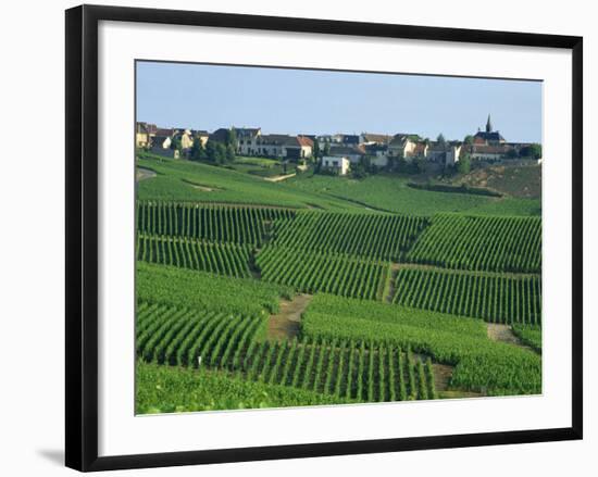 Marne, Champagne, Cramant Village and Vineyards, France-Steve Vidler-Framed Photographic Print