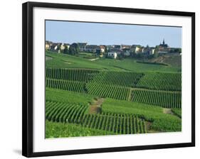 Marne, Champagne, Cramant Village and Vineyards, France-Steve Vidler-Framed Photographic Print