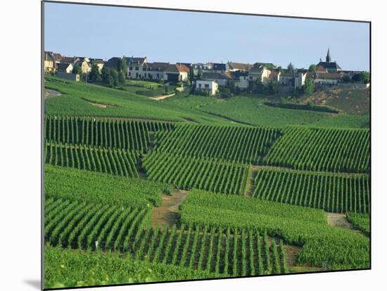 Marne, Champagne, Cramant Village and Vineyards, France-Steve Vidler-Mounted Photographic Print