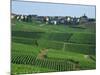 Marne, Champagne, Cramant Village and Vineyards, France-Steve Vidler-Mounted Photographic Print