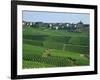 Marne, Champagne, Cramant Village and Vineyards, France-Steve Vidler-Framed Photographic Print