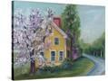 Stretched Canvas
