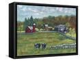 Framed Canvas