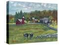 Stretched Canvas