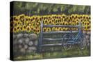 Stretched Canvas