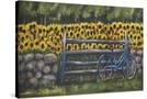 Stretched Canvas
