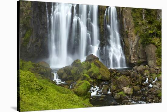 Marokopa Falls, Waitomo District, Waikato, North Island, New Zealand-David Wall-Stretched Canvas