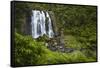 Marokopa Falls, Waitomo District, Waikato, North Island, New Zealand-David Wall-Framed Stretched Canvas